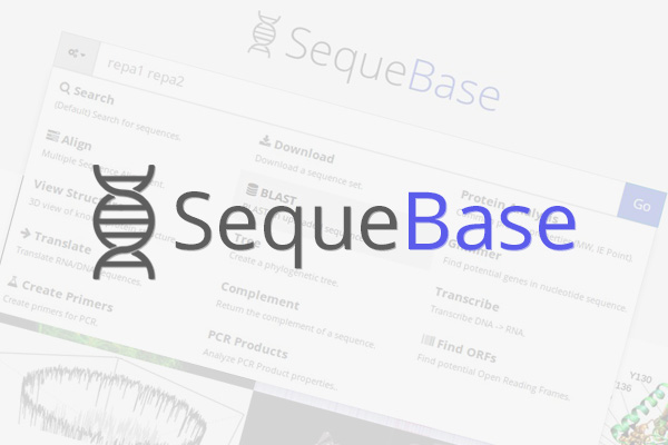 SequeBase photo